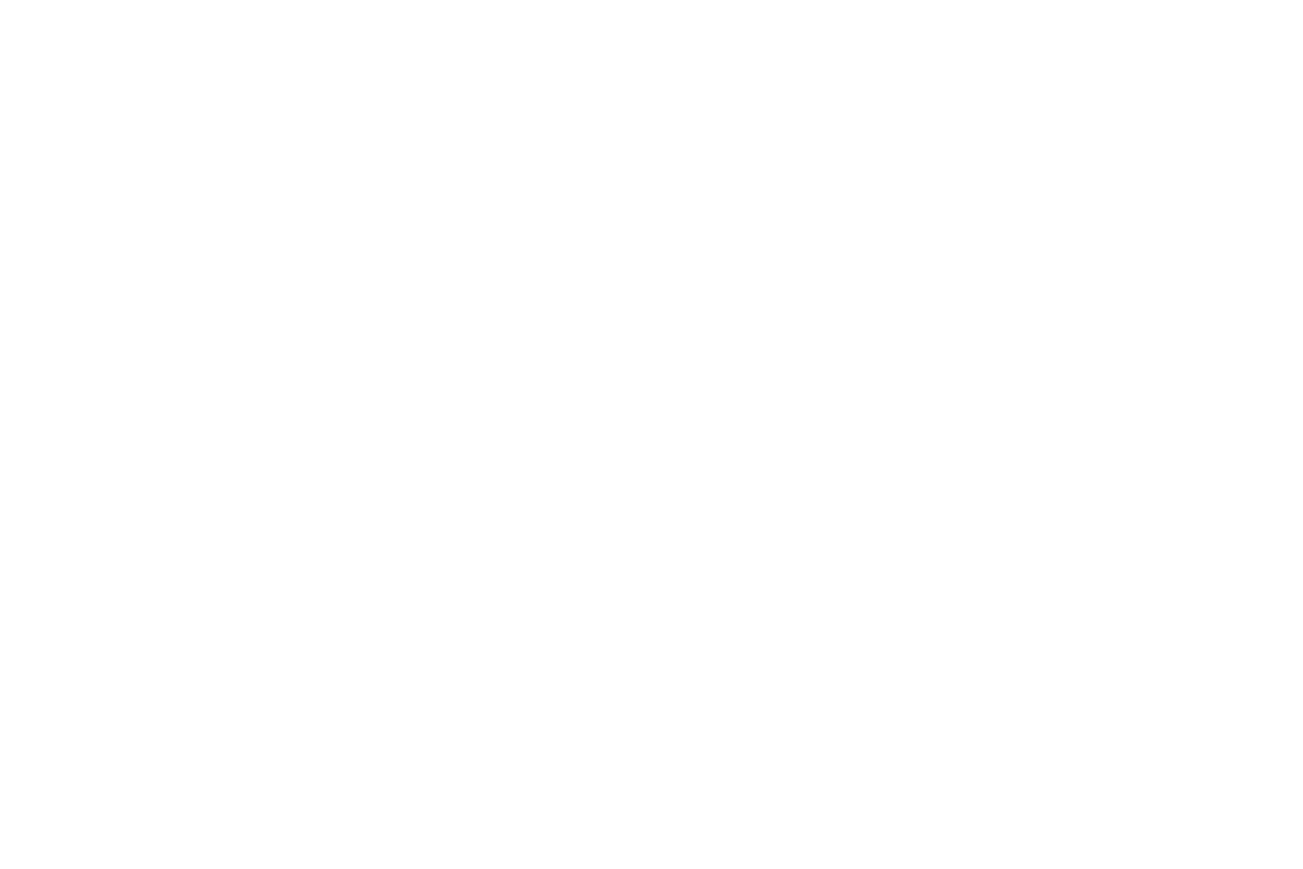 Kleines Logo von Fieri Solutions